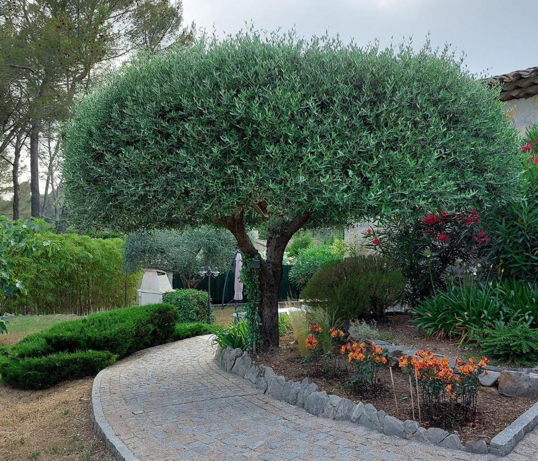 Gite Les Pins Climatise Piscine Chauffee Jardin Peymeinade Exterior photo